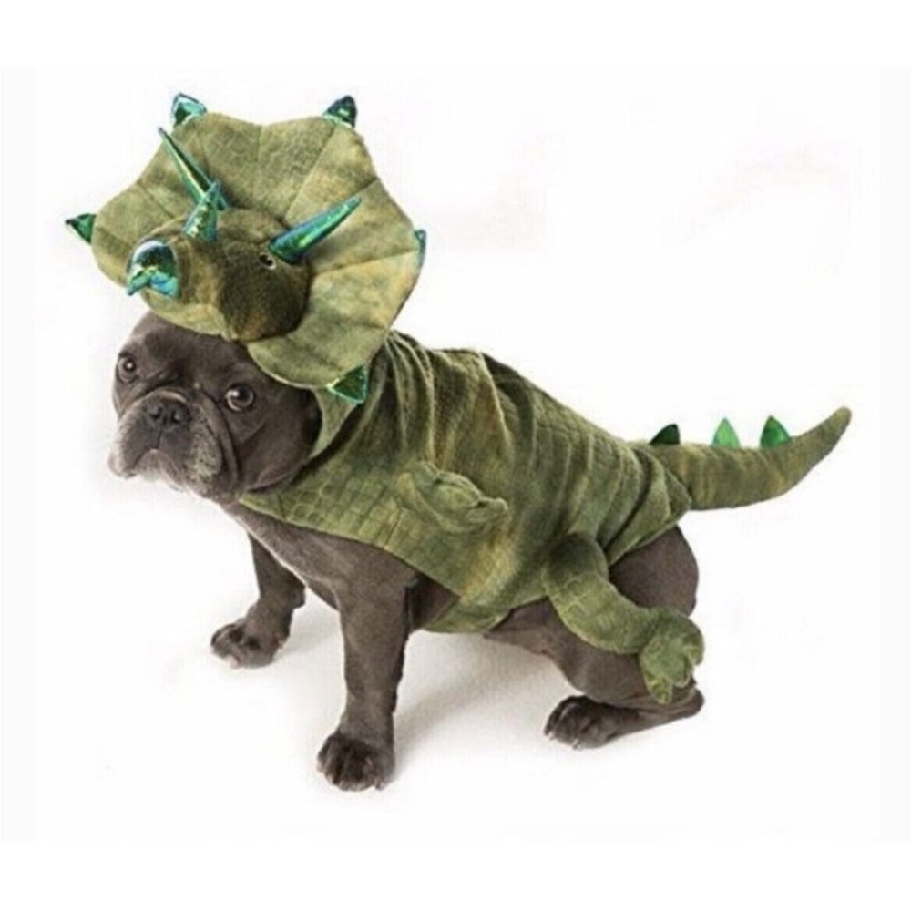 Green Triceratops Dog Costume — Plush Dinosaur Pet Outfit